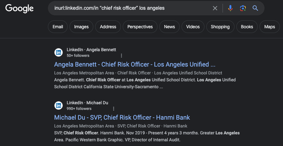 Google X-ray search results for Chief Risk Officer LinkedIN profiles.