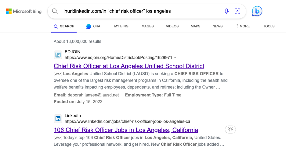 Results from Bing for an X-ray search looking for LinkedIN profiles of Chief Risk Officers. 